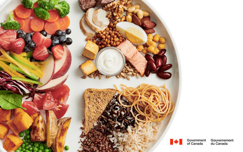 Canada Food Guide 2020 Pdf